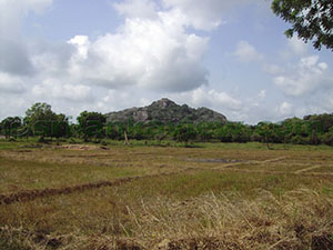 Hatthikucchi Vihara

